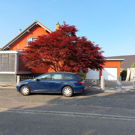 Sonnige Ferienwohnung Bei Familie Koehler Kappel-Grafenhausen Bagian luar foto
